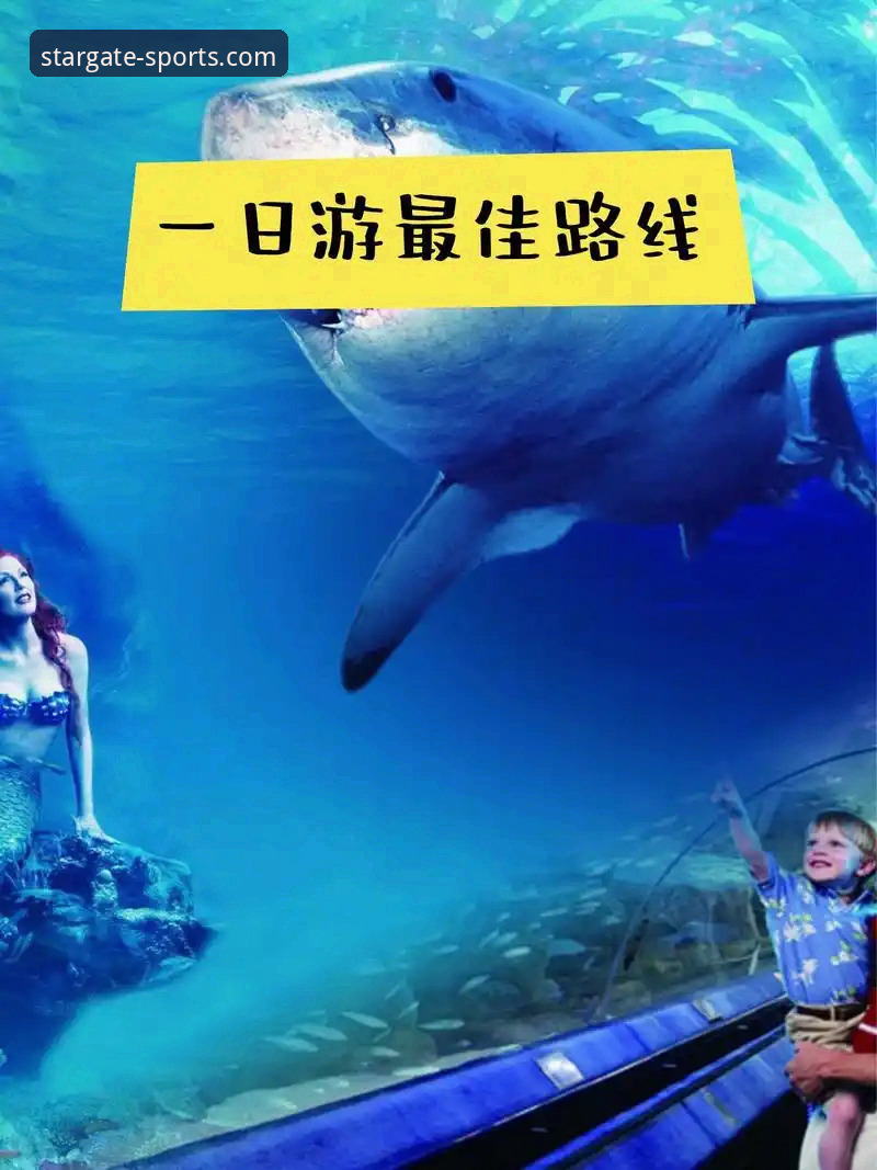 星空体育官方网址 星空体育平台使用详解:从下载到注册的完整心得分享